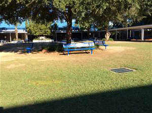 4 Benches